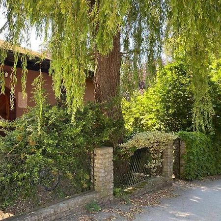 Gartenwohnung 5 Min. Zur Stadt Hagenau Ngoại thất bức ảnh