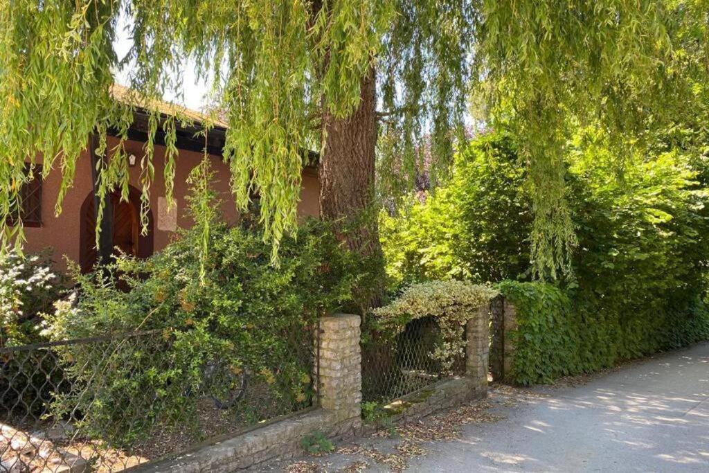 Gartenwohnung 5 Min. Zur Stadt Hagenau Ngoại thất bức ảnh